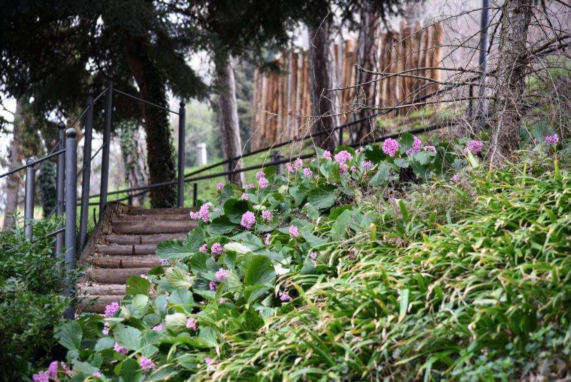 il giardino