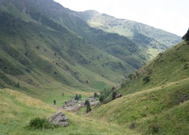 DSC08518