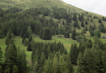 DSC08574